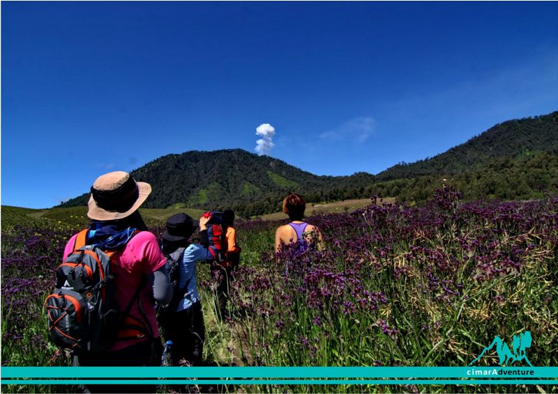 Indonesian Mountain Guide-Semeru (3)