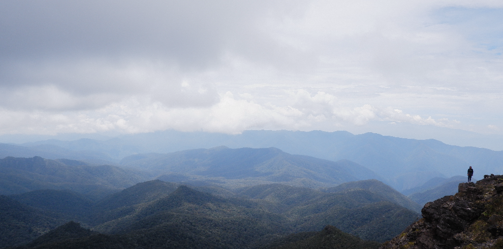 CIMARA ADVENTURE7 LEUSER