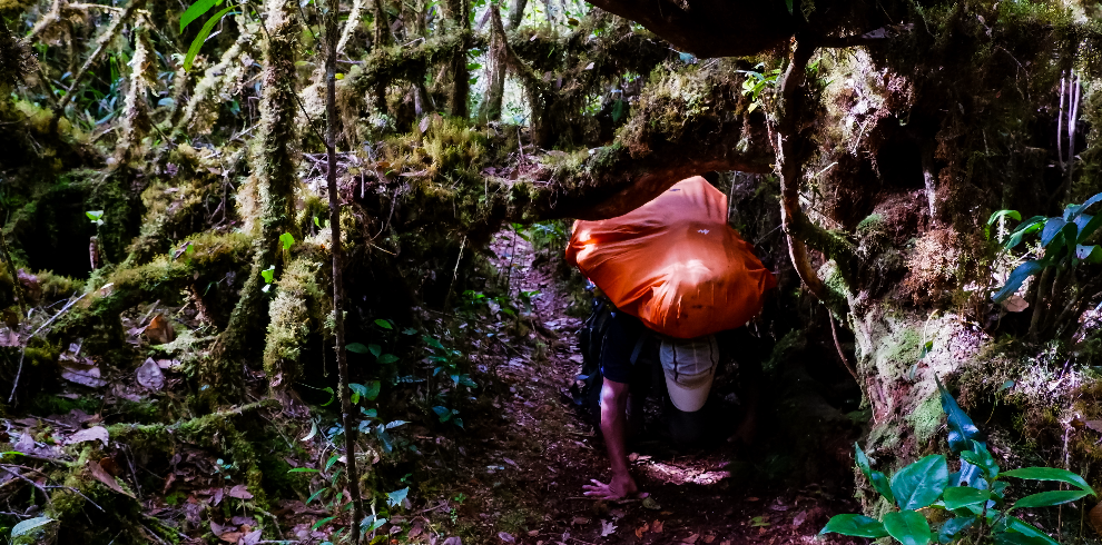 CIMARA ADVENTURE8 LEUSER
