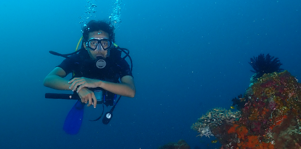 CIMARA-ADVENTURE DIVING PASIR PUTIH SITUBONDO